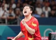 开云官网-奥地利队轻取瑞典队，樊振东状态火热的简单介绍