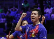 开云官网-瑞典乒乓球队完胜日本乒乓球队，许昕高光表现的简单介绍