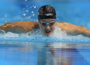 开云体育入口-阿联酋游泳选手在比赛中斩获金牌