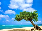 开云体育入口-芬兰淘汰英格兰，孙兴慜的教科书级表现如何定义现代足球的唯一性