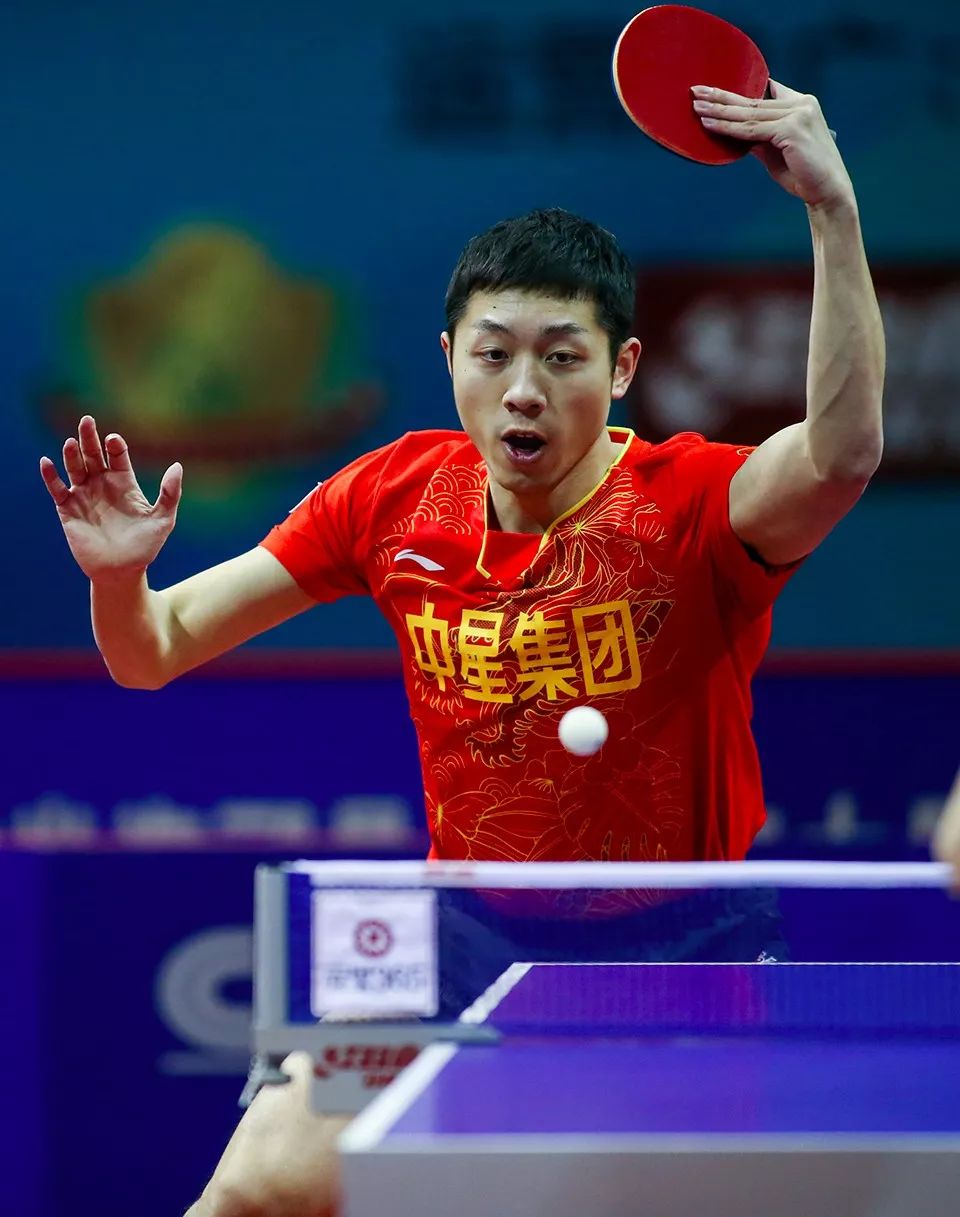 包含中国队完胜波兰队，许昕状态火热的词条