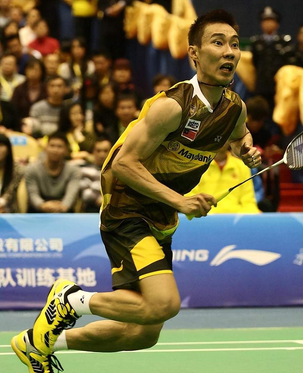 英格兰羽毛球队横扫日本羽毛球队，陶菲克爆发神勇的简单介绍