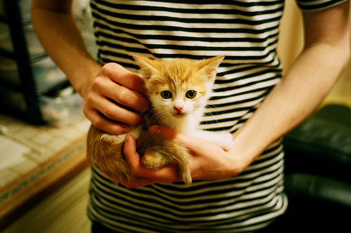 德甲争冠战之夜，卡马文加全场最佳无争议