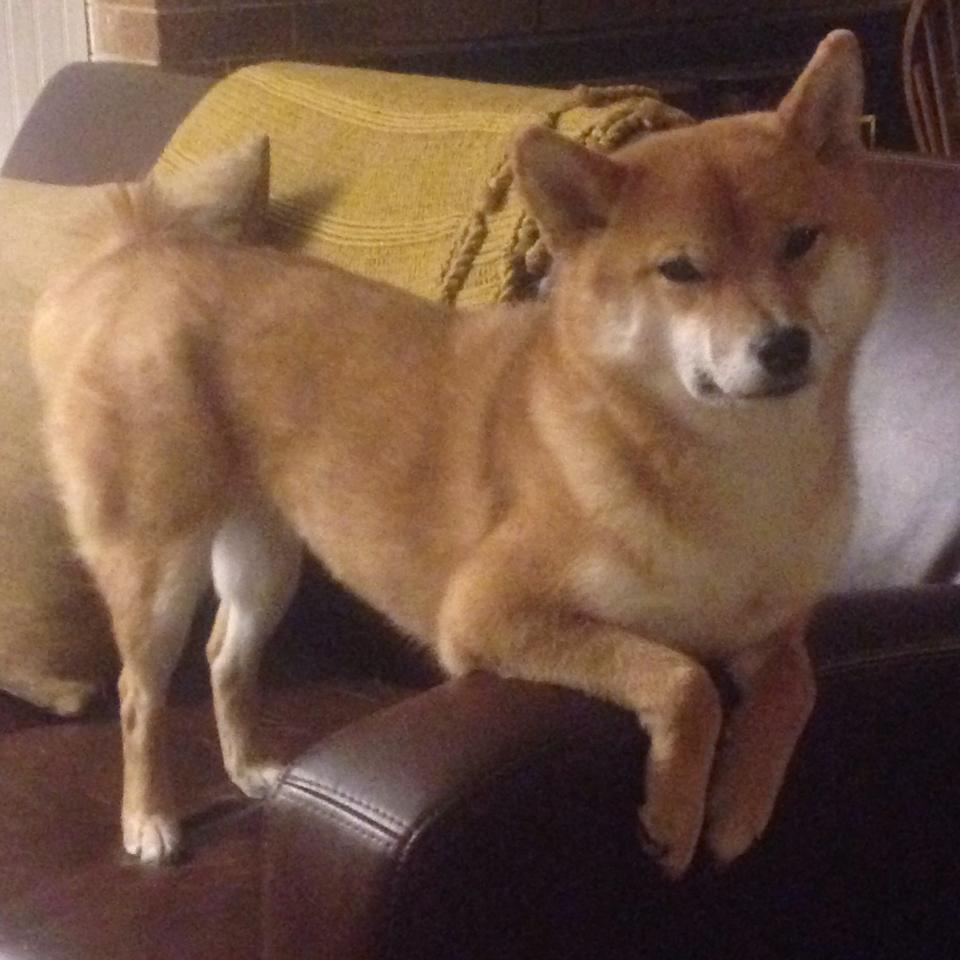 弗拉霍维奇爆发点燃欧战烽火,利物浦血拼瑞士军刀捍卫荣耀