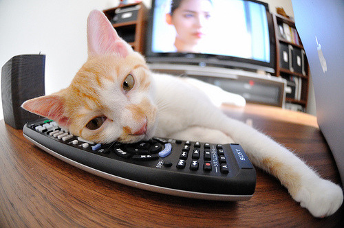 欧冠决赛之夜,姆巴佩的压制级表演,如何定义新一代球王诞生