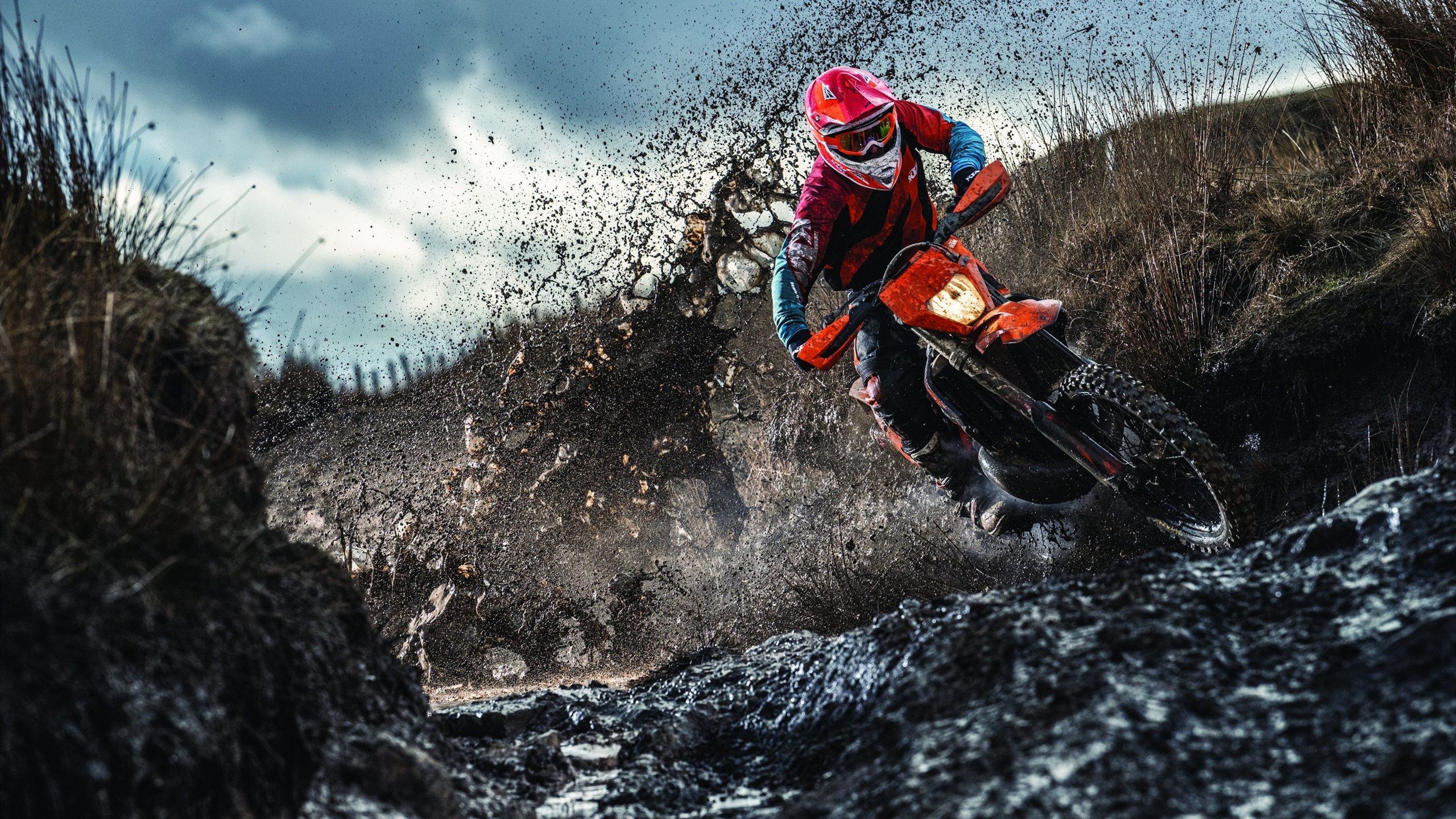 光芒之下,福克斯扛起全队,太阳战术体系如何全面压制山西