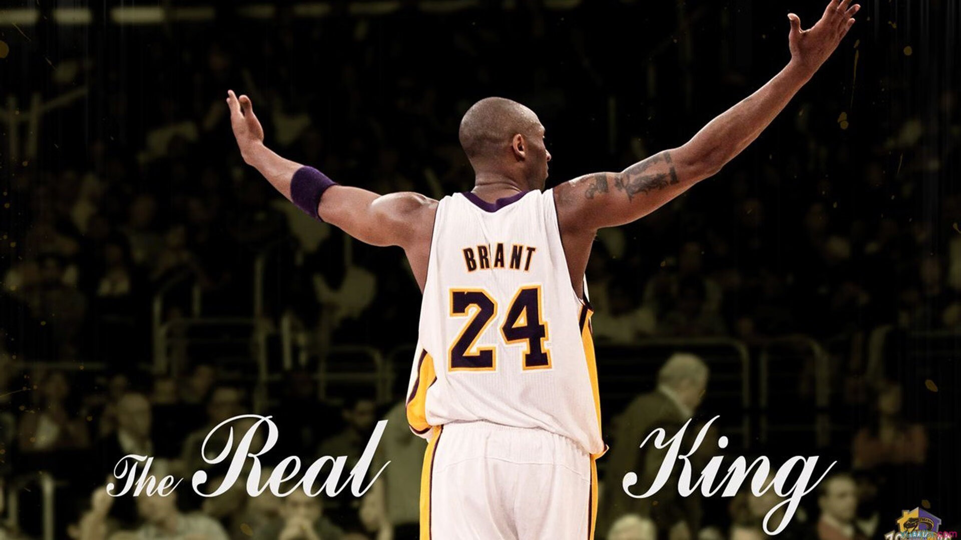 字母哥化身关键先生,深圳队力克山西队晋级下一轮